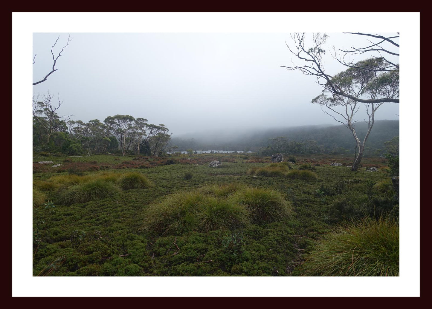 The banks of Lake Windermere (Tasmania, May 2019) Framed Art Print